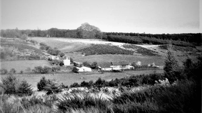 Black and white photo of a farm in a heath landscape with pine tree plantations in the background.